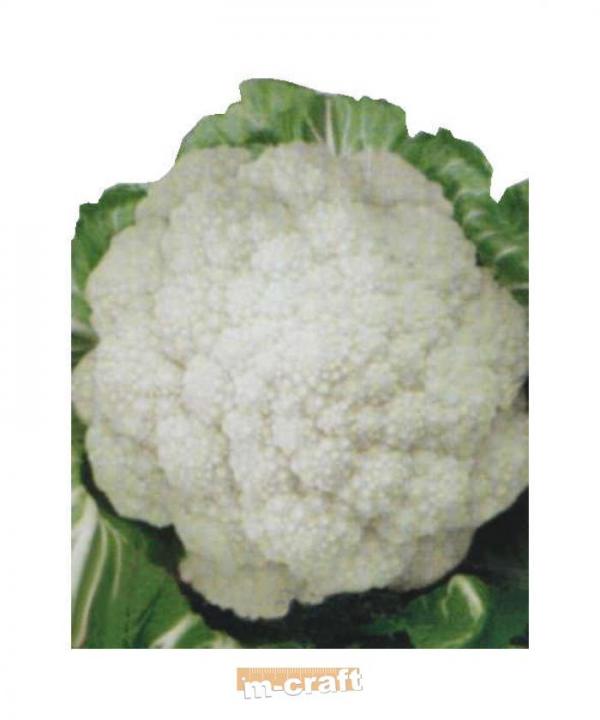 Heirloom Cauliflower DI JESI 100 seeds